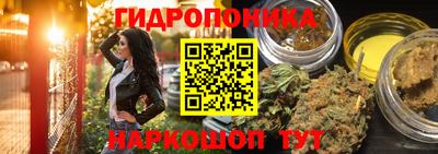 амф Тверь