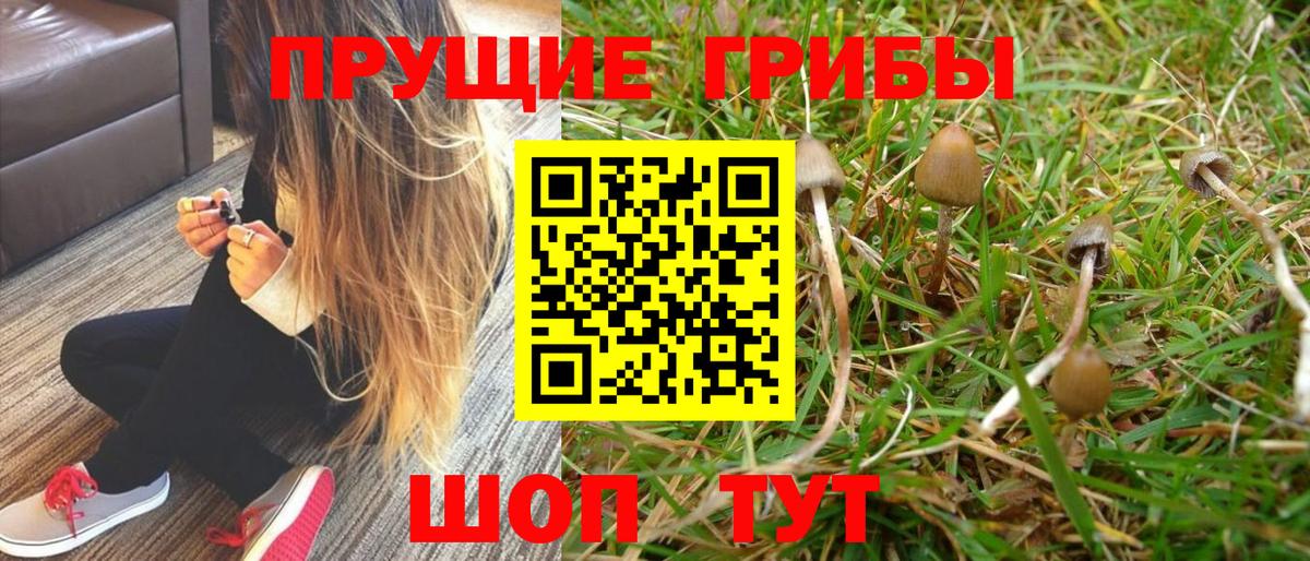 Псилоцибиновые грибы мухоморы  Галлюциногенные грибы Magic Shrooms  Вход с VPN  Барнаул 