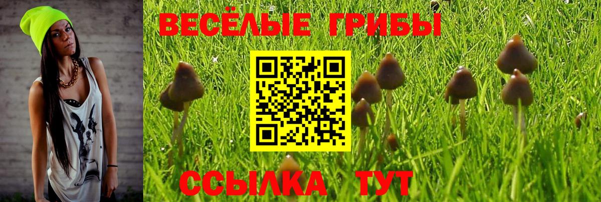 Псилоцибиновые грибы Magic Shrooms Барнаул